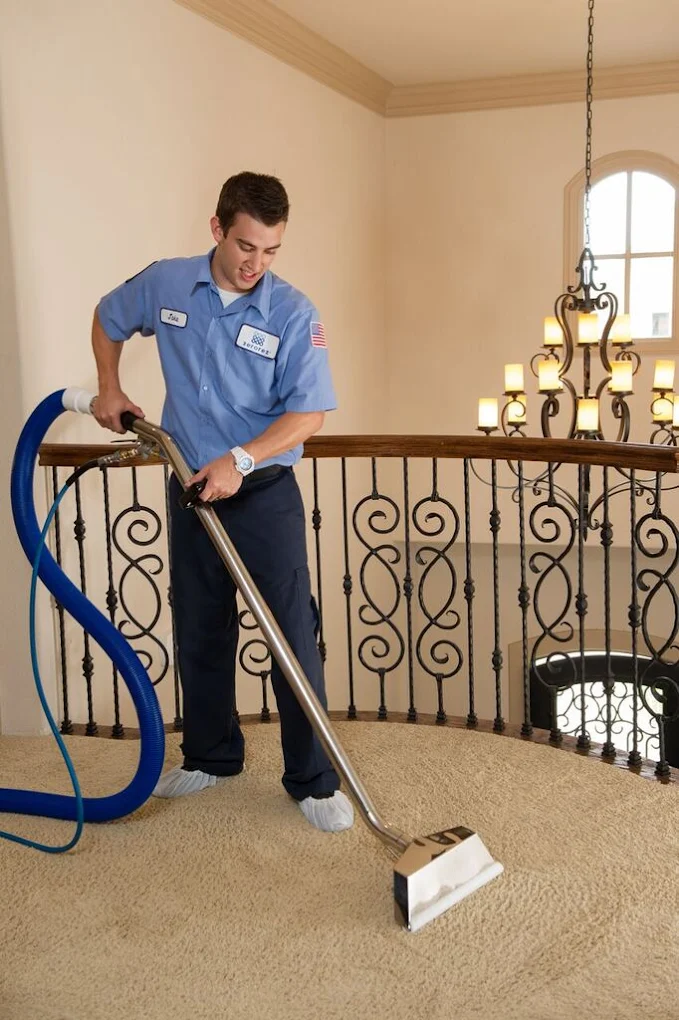 Zerorez Carpet Cleaning